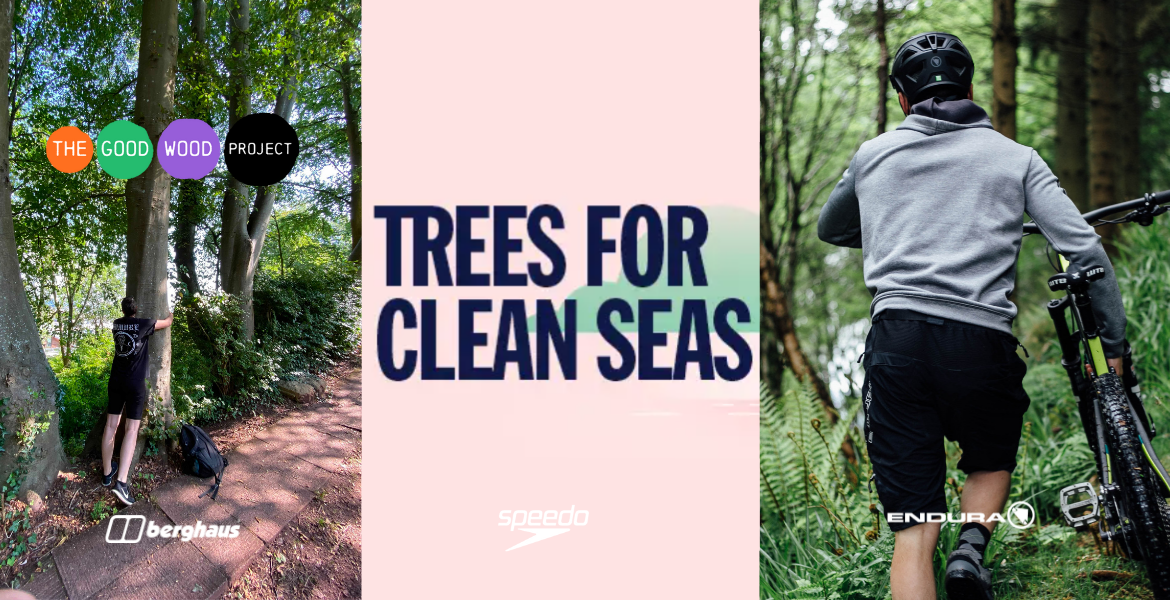 Brands’ tree programme to support reforestation and biodiversity